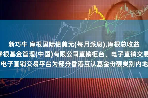 新巧牛 摩根国际债美元(每月派息),摩根总收益债美元现金: 关于新增摩根基金管理(中国)有限公司直销柜台、电子直销交易平台为部分香港互认基金份额类别内地销售平台的公告