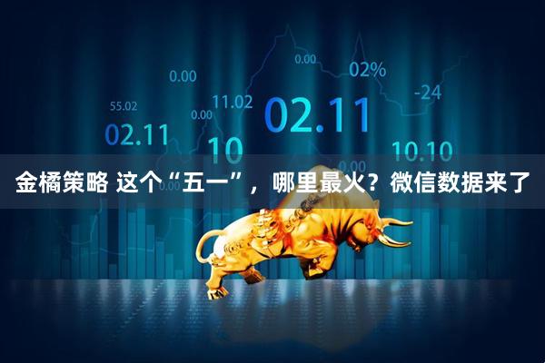 金橘策略 这个“五一”，哪里最火？微信数据来了
