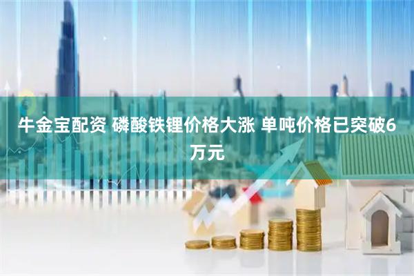 牛金宝配资 磷酸铁锂价格大涨 单吨价格已突破6万元