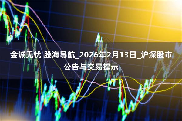 金诚无忧 股海导航_2026年2月13日_沪深股市公告与交易提示