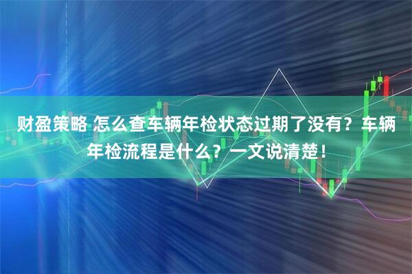 财盈策略 怎么查车辆年检状态过期了没有？车辆年检流程是什么？一文说清楚！
