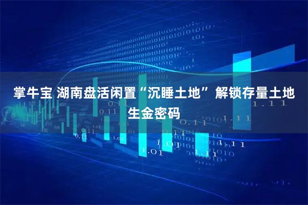 掌牛宝 湖南盘活闲置“沉睡土地” 解锁存量土地生金密码
